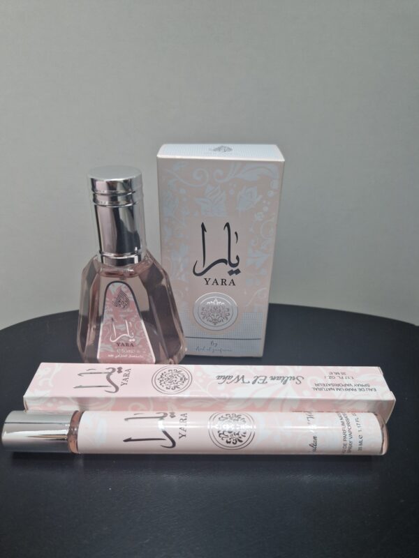 Lote 10 Yara