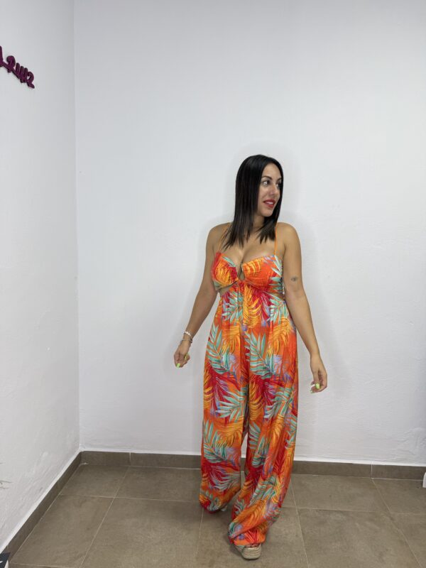 Mono Cadiz - Imagen 2